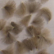 CDC Puff natural dun (32 ����) Sm.